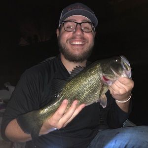 Meet your Posher, Austin